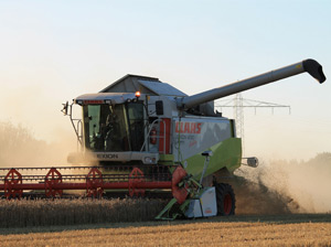 Agrarbetrieb Volck