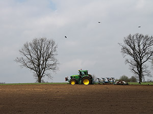 Agrarbetrieb Volck